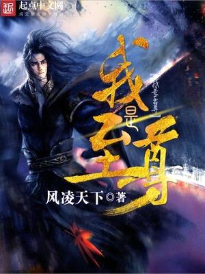 我是至尊封面