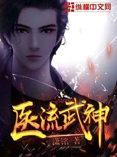 医流武神封面