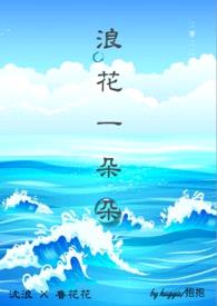 浪花一朵朵封面